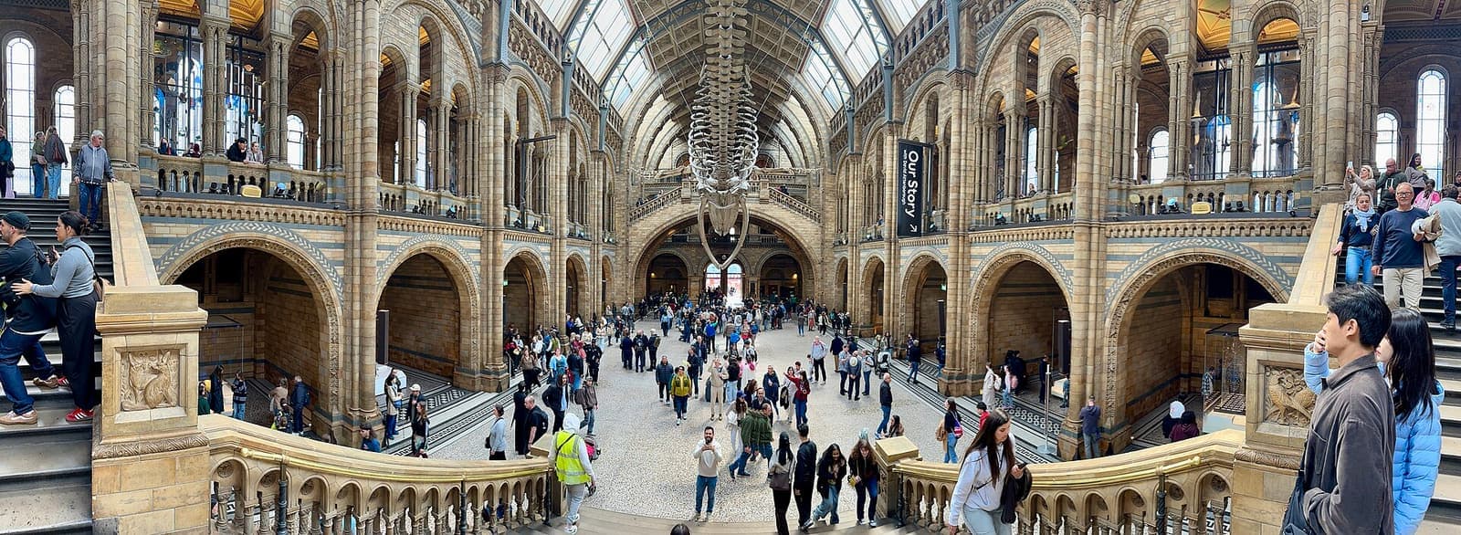 Visitors in Hintze Hall at the Natural History Museum
